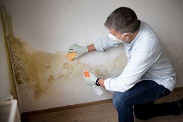 Mold-Remediation-Testing-services